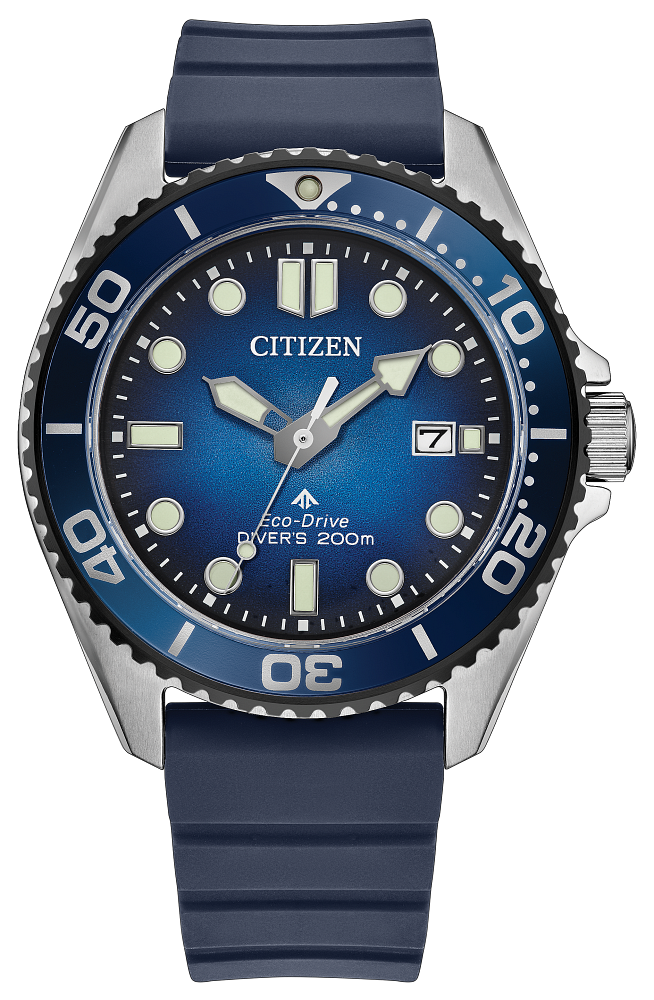 Promaster Dive